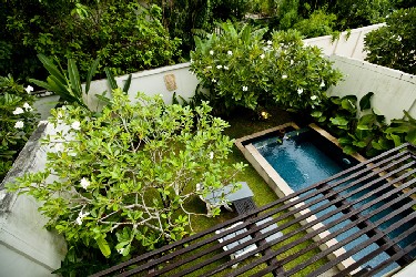 Back Garden with Views to the Terrace, Garden and Pool